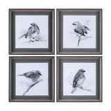 Robin BW I by Mercana Studio a Hand Embellished Textured Framed Art Print Matted under Glass by Mercana at Eve Furniture