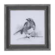 Robin BW I by Mercana Studio a Hand Embellished Textured Framed Art Print Matted under Glass by Mercana at Eve Furniture