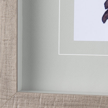 Robin II by Mercana Studio a Hand Embellished Textured Framed Art Print Matted under Glass by Mercana at Eve Furniture