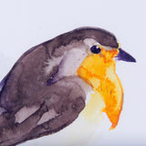 Robin II by Mercana Studio a Hand Embellished Textured Framed Art Print Matted under Glass by Mercana at Eve Furniture
