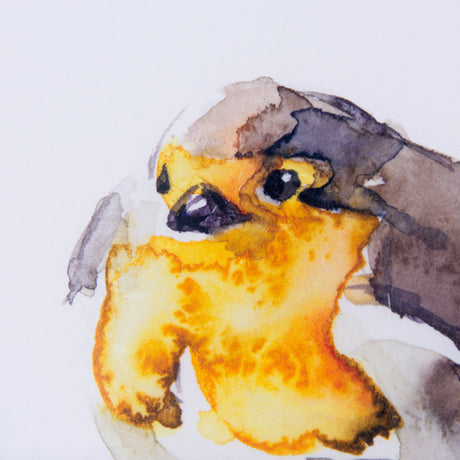 Robin III by Mercana Studio a Hand Embellished Textured Framed Art Print Matted under Glass by Mercana at Eve Furniture