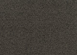 Robinson Dark Brown Loveseat with Pull-out Bed, Shelves and Charging Ports by Homelegance at Eve Furniture