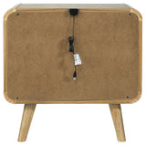 Robyn Light Ash 2-Drawer Nightstand by Coaster at Eve Furniture