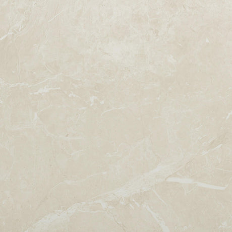 Romy 47" Rectangular Coffee Table by TOV Furniture at Eve Furniture