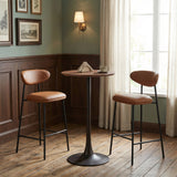 Rorun Brown Barstool (Set of 2) by Zuomod at Eve Furniture