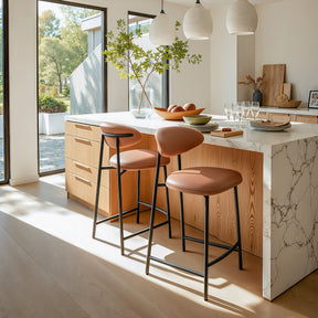 Rorun Brown Counter Stool (Set of 2) by Zuomod at Eve Furniture