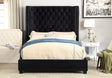 Rosabelle Black King Bed by Furniture of America at Eve Furniture