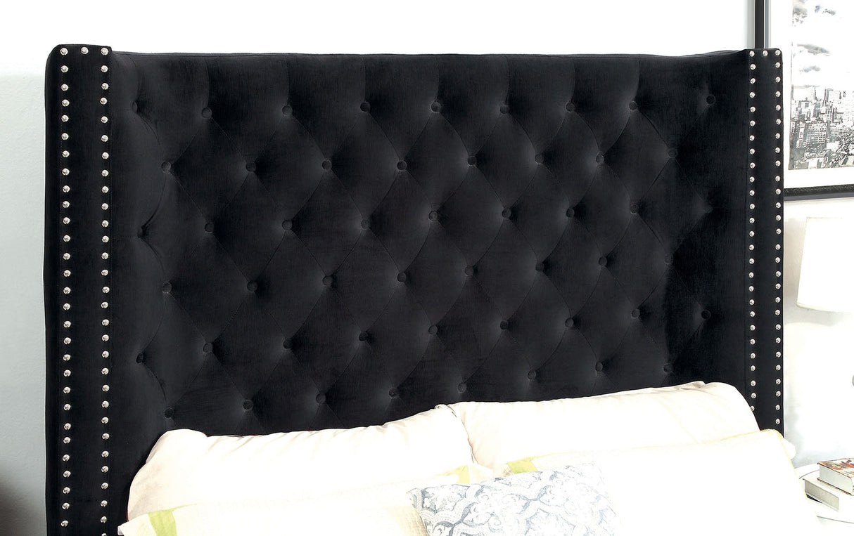 Rosabelle Black Queen Bed by Furniture of America at Eve Furniture