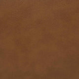 Rosalind Brown Upholstered Track Arm Accent Chair by Coaster at Eve Furniture