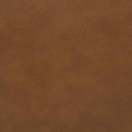 Rosalind Brown Upholstered Track Arm Accent Chair by Coaster at Eve Furniture