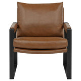 Rosalind Brown Upholstered Track Arm Accent Chair by Coaster at Eve Furniture