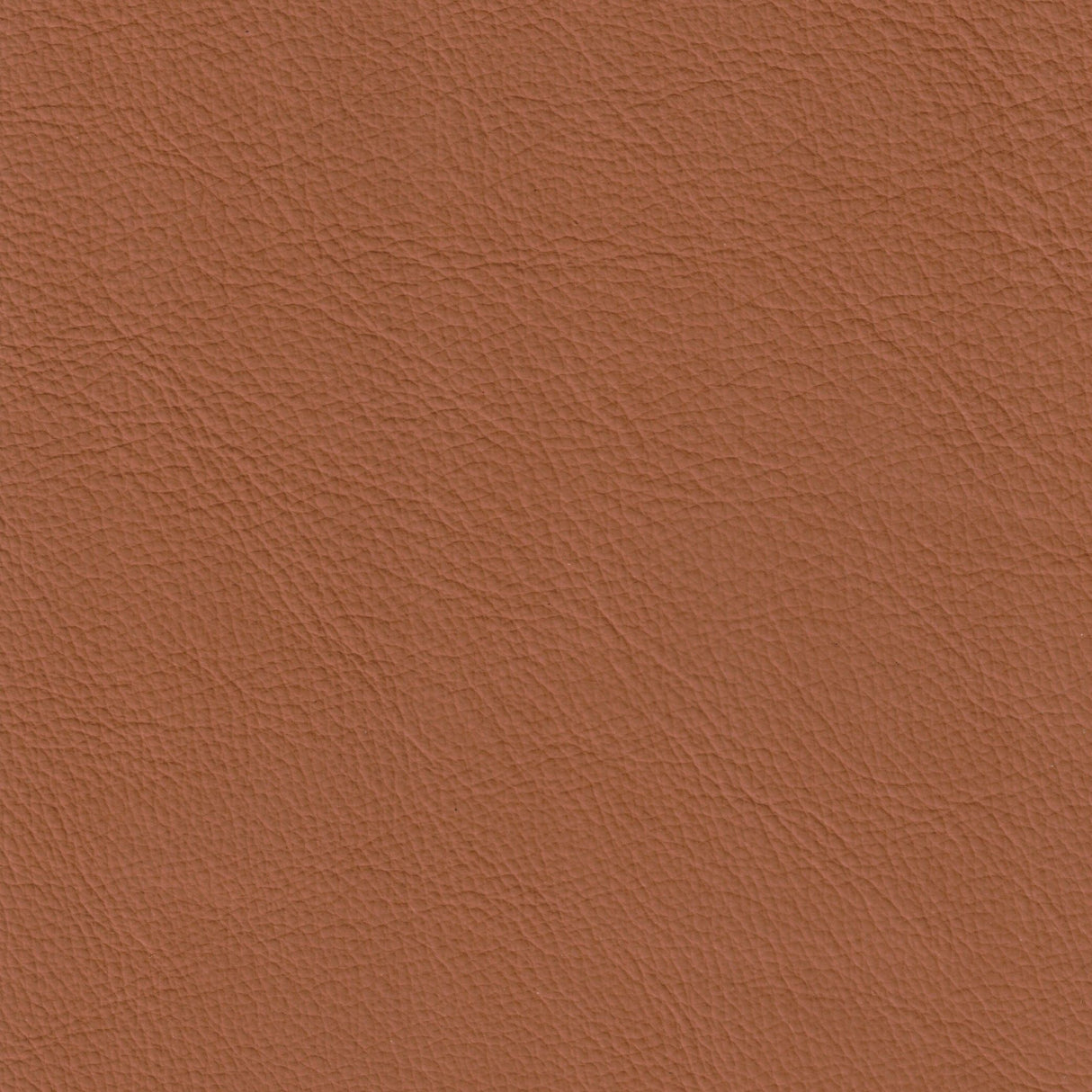 Rosalind Office Chair Brown by Zuomod at Eve Furniture