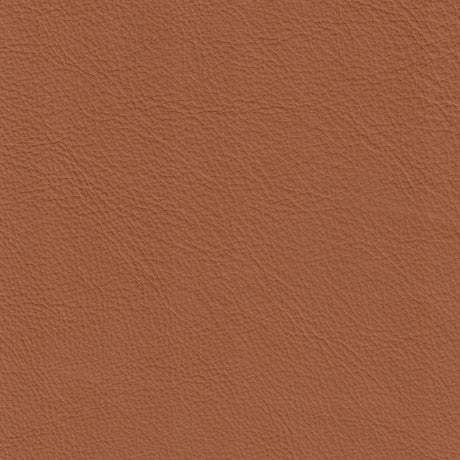 Rosalind Office Chair Brown by Zuomod at Eve Furniture
