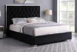 Rose Black Queen Platform Bed by New Era Innovations at Eve Furniture