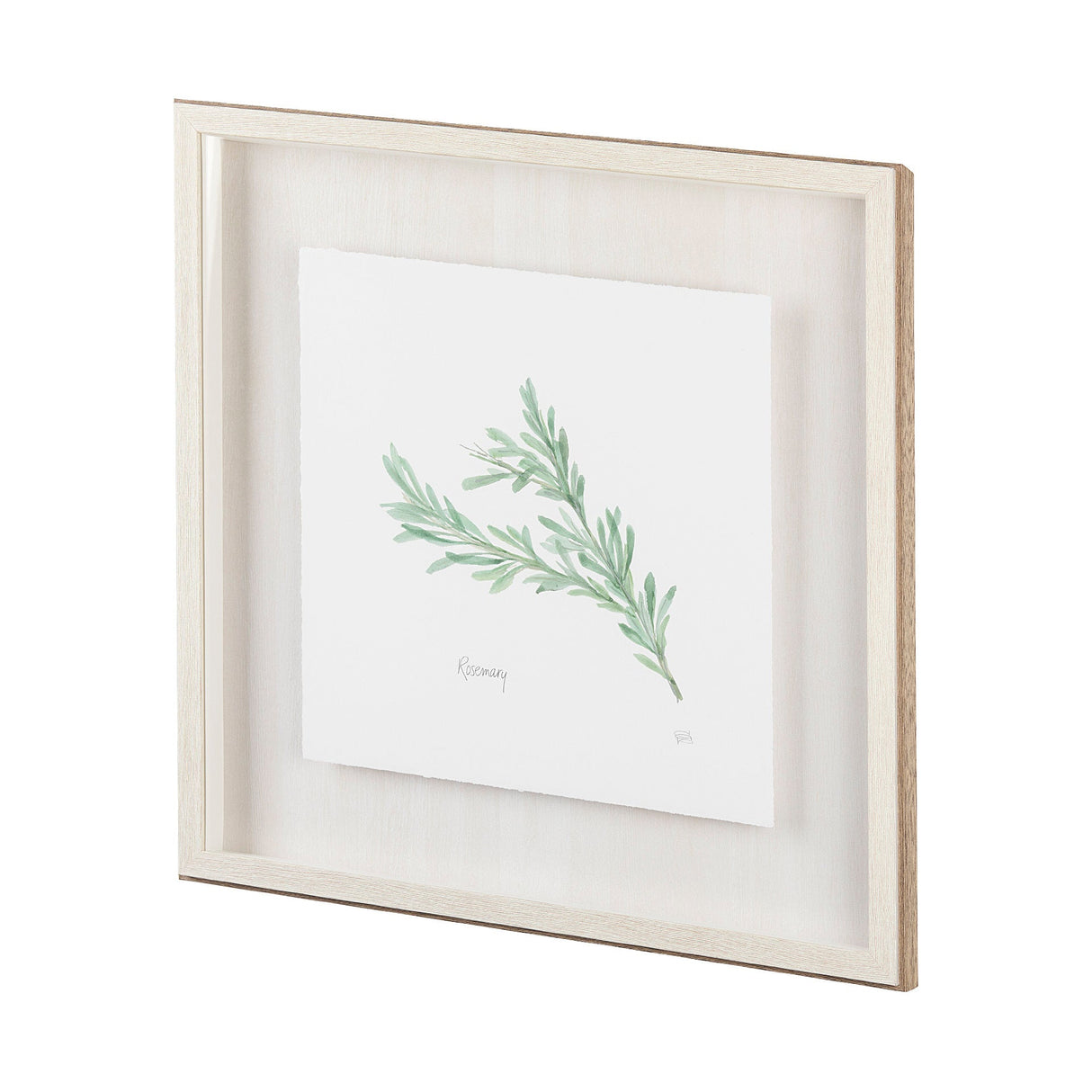Rosemary v2 by Chris Paschke a Framed Art Print Matted under Glass by Mercana at Eve Furniture