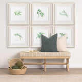 Rosemary v2 by Chris Paschke a Framed Art Print Matted under Glass by Mercana at Eve Furniture