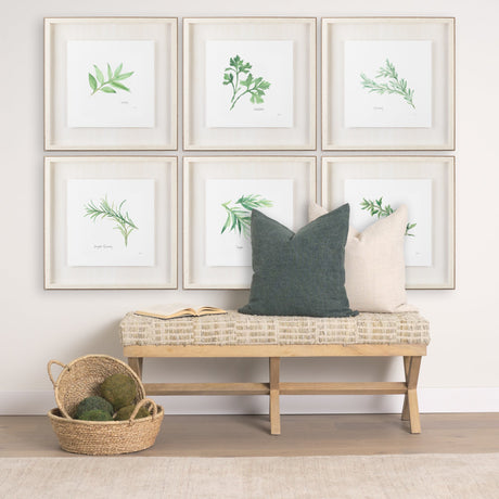 Rosemary v2 by Chris Paschke a Framed Art Print Matted under Glass by Mercana at Eve Furniture