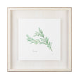 Rosemary v2 by Chris Paschke a Framed Art Print Matted under Glass by Mercana at Eve Furniture