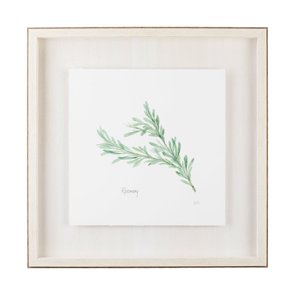 Rosemary v2 by Chris Paschke a Framed Art Print Matted under Glass by Mercana at Eve Furniture