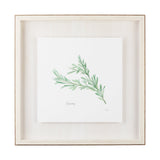Rosemary v2 by Chris Paschke a Framed Art Print Matted under Glass by Mercana at Eve Furniture