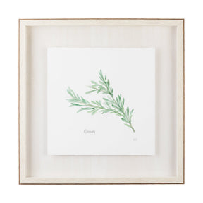 Rosemary v2 by Chris Paschke a Framed Art Print Matted under Glass by Mercana at Eve Furniture