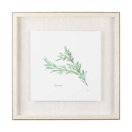 Rosemary v2 by Chris Paschke a Framed Art Print Matted under Glass by Mercana at Eve Furniture