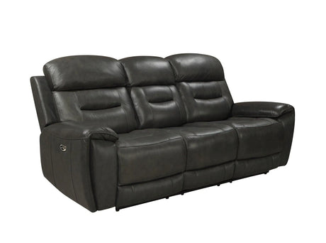 Rosewood Grey Leather Power Reclining Living Room Set by New Era Innovations at Eve Furniture