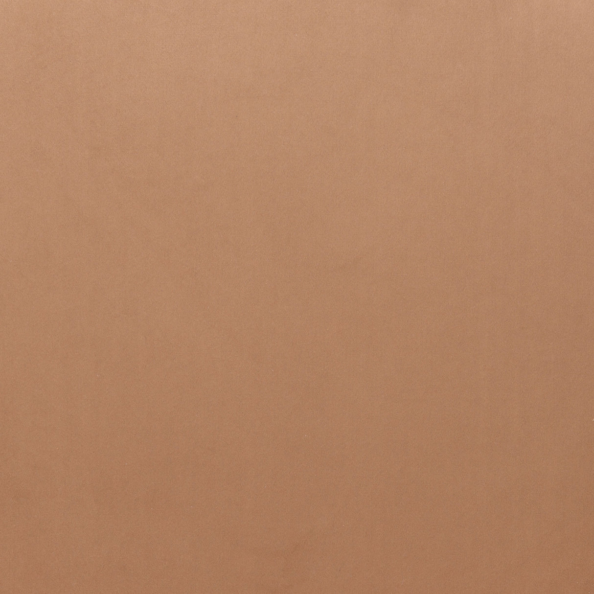 Rosyth Tan Dining Chair by Zuomod at Eve Furniture