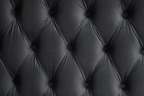 Royal Black Queen Platform Bed by New Era Innovations at Eve Furniture