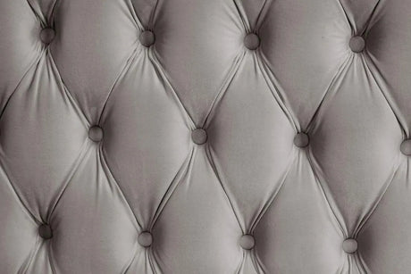 Royal Grey King Platform Bed by New Era Innovations at Eve Furniture