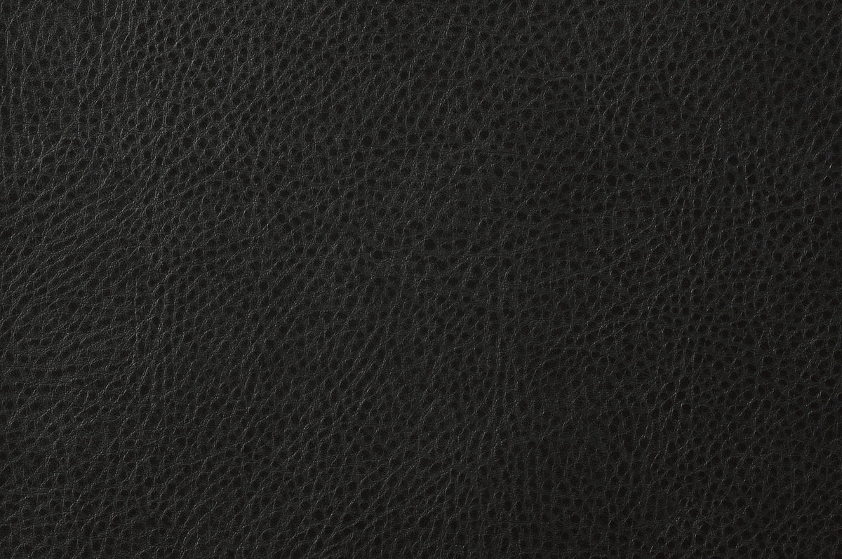 Rubin Black 2-Piece Faux Leather Living Room Set by Homelegance at Eve Furniture