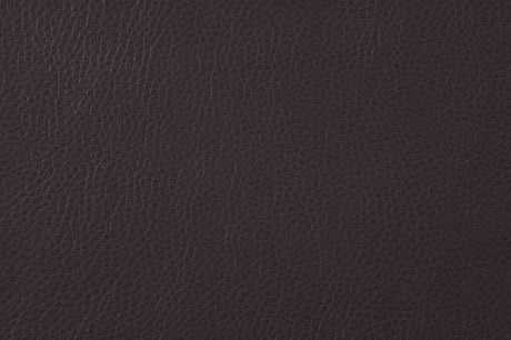 Rubin Dark Brown Faux Leather Loveseat by Homelegance at Eve Furniture