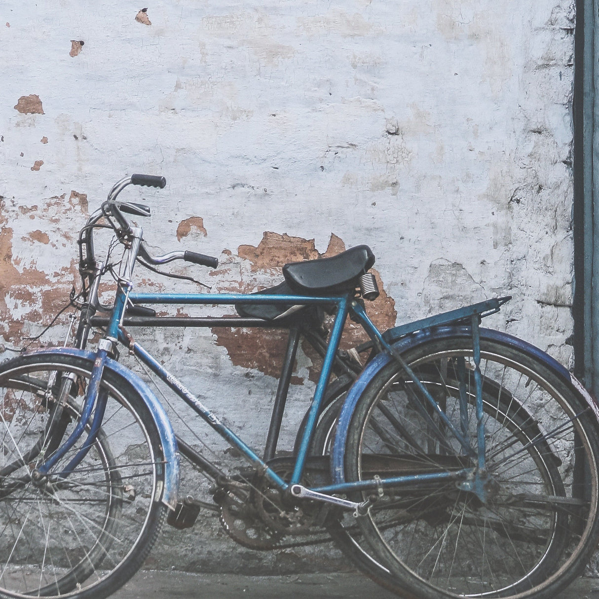 Rustic Bicycyle Scene by Shot By Clint Framed Photo Print Matted under Glass by Mercana at Eve Furniture
