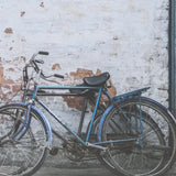 Rustic Bicycyle Scene by Shot By Clint Framed Photo Print Matted under Glass by Mercana at Eve Furniture