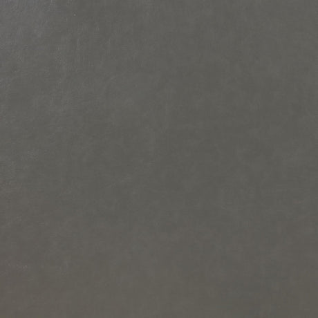 Ruth Gray Upholstered Track Arm Faux Leather Living Room Set by Coaster at Eve Furniture