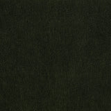 Ruth Matcha Green Fabric Upholstered Track Arm Accent Chair by Coaster at Eve Furniture