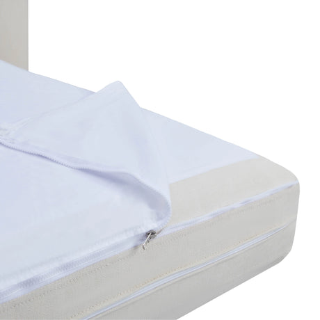 Ryan 91" Cream Upcycled Performance Linen Sofa Bed by TOV Furniture at Eve Furniture