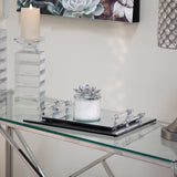 S/2 Mirrored Trays