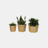 S/3 8/10/12" Chinoiserie Floral Planters, Yellow/w