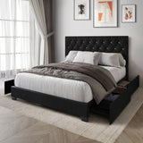 Cozy Haven  black Queen bed