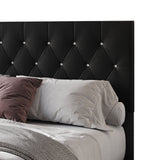 Cozy Haven Black king bed