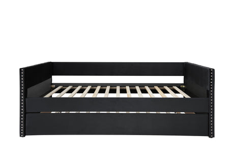 Sadie Black Velvet Twin Daybed by Crown Mark at Eve Furniture