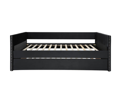 Sadie Black Velvet Twin Daybed by Crown Mark at Eve Furniture