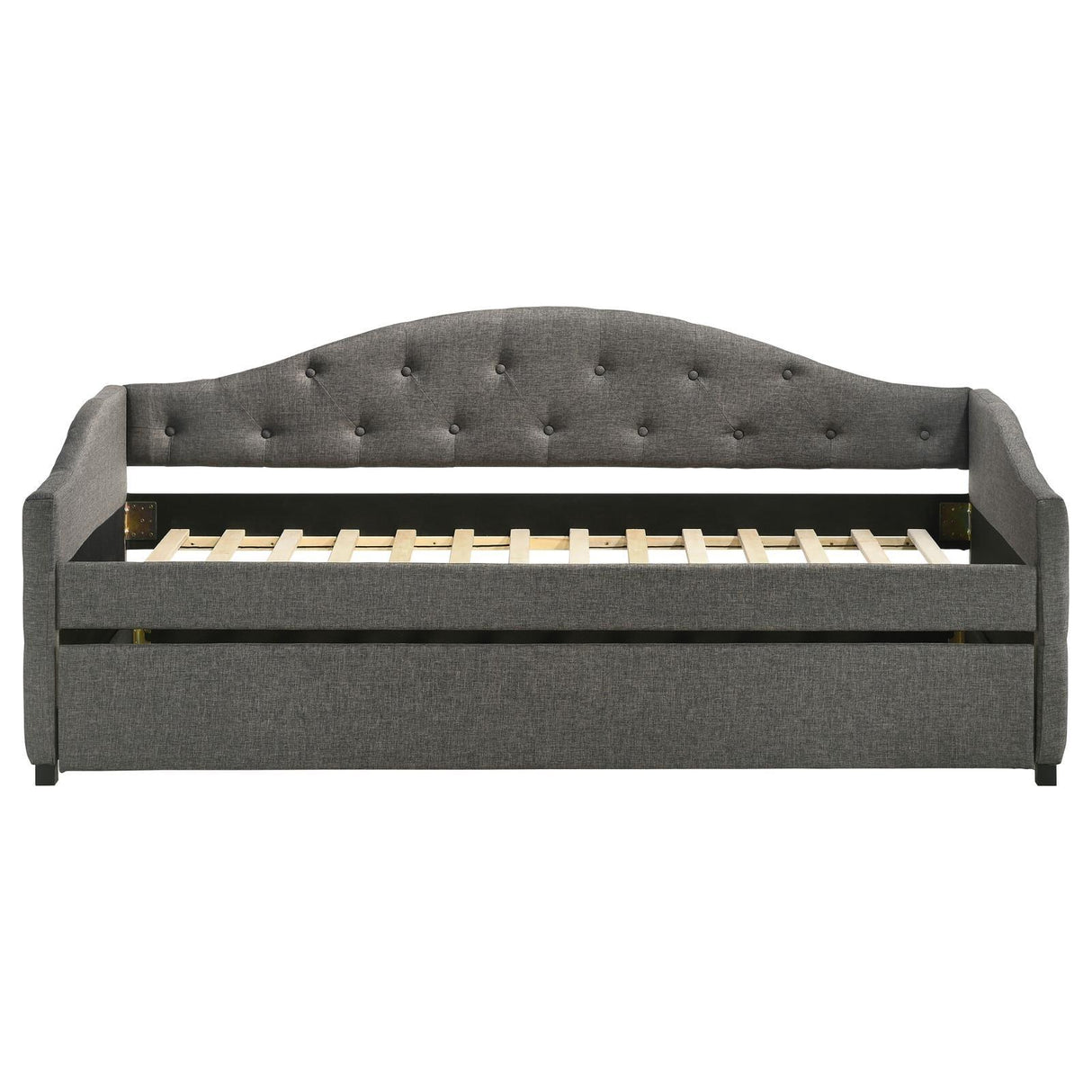 Sadie Upholstered Twin Daybed with Trundle by Coaster at Eve Furniture
