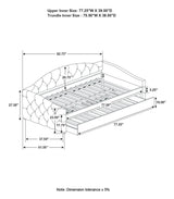 Sadie Upholstered Twin Daybed with Trundle by Coaster at Eve Furniture