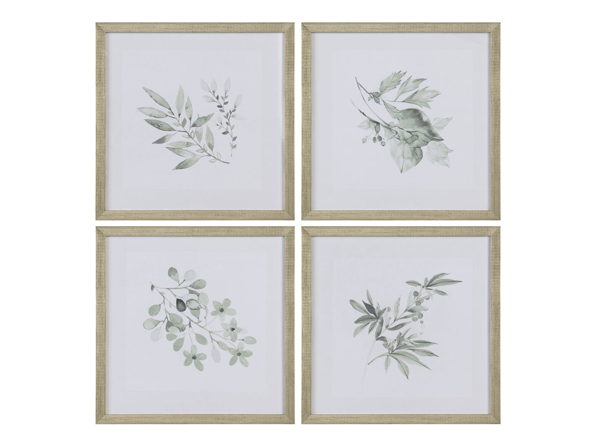 Sage Foliage Greem/White Print by Crestview at Eve Furniture