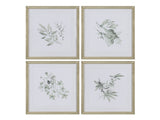 Sage Foliage Greem/White Print by Crestview at Eve Furniture