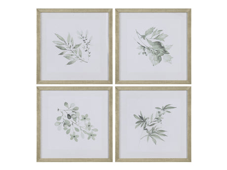 Sage Foliage Greem/White Print by Crestview at Eve Furniture