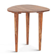 Salem 23" Side Table in Natural Sheesham Wood by Home Trends & Design at Eve Furniture