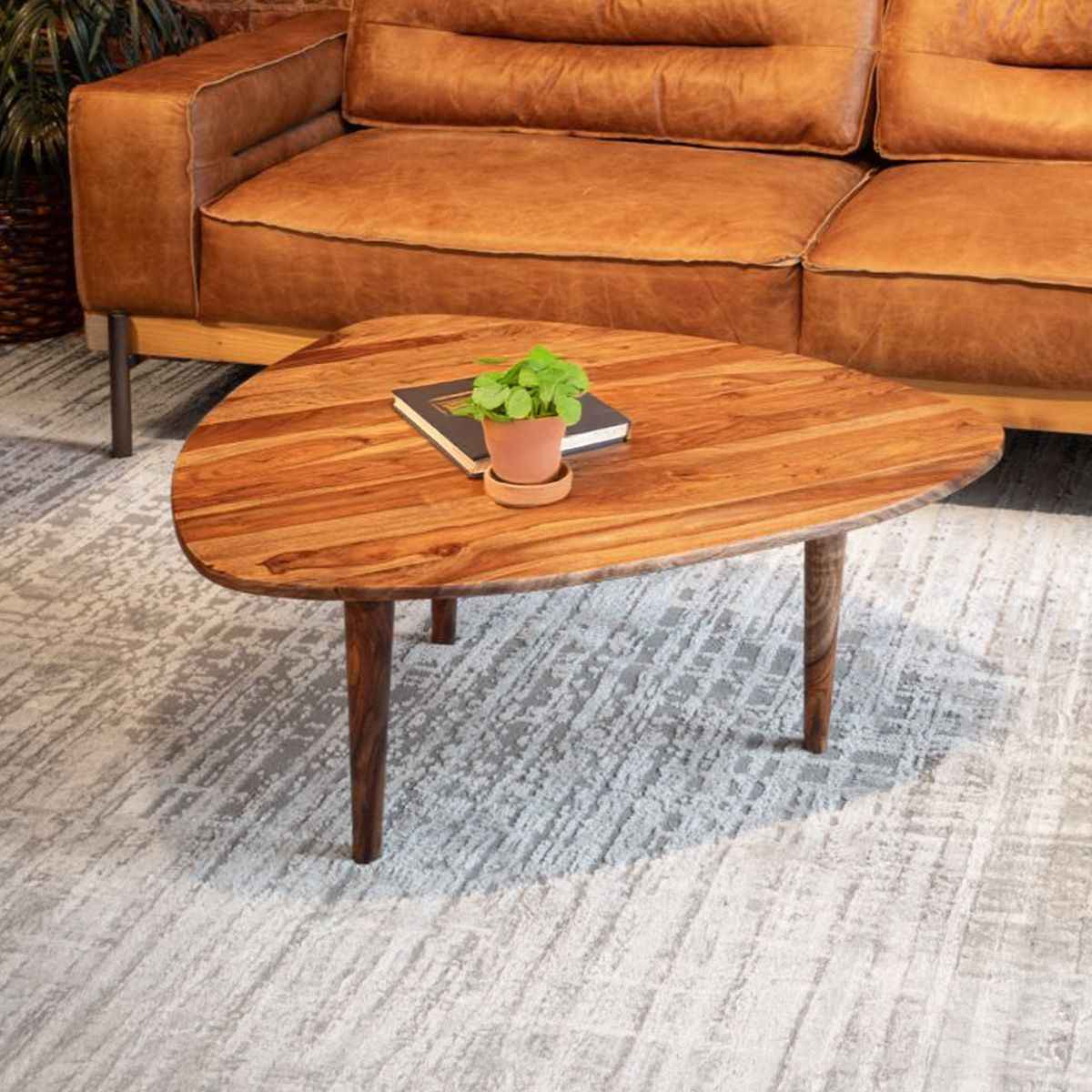 Salem 37" Coffee Table in Natural Sheesham Wood by Home Trends & Design at Eve Furniture